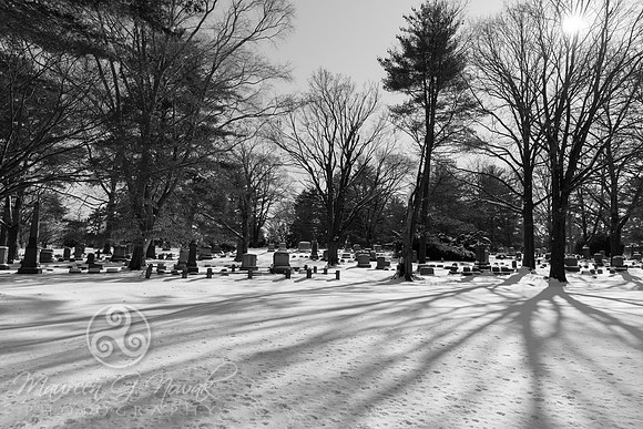 Elmwood Cemetery