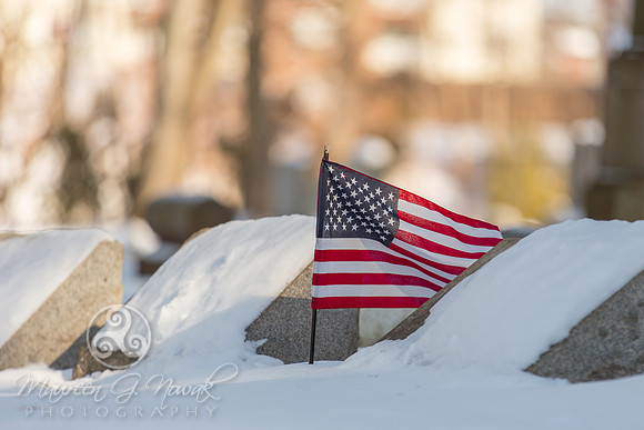 Elmwood Cemetery