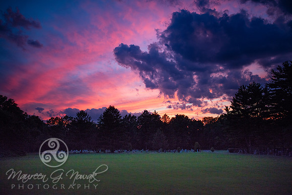 Elmwood Cemetery