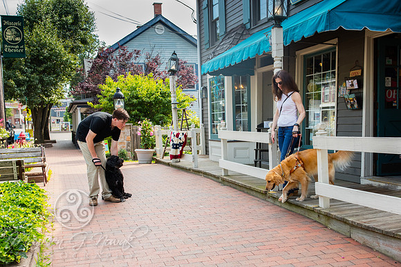 Guide Dogs at Work Campaign