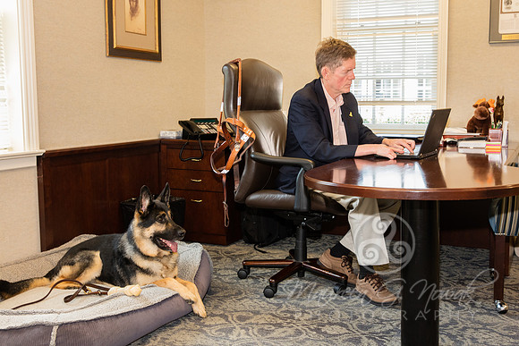 Guide Dogs at Work Campaign