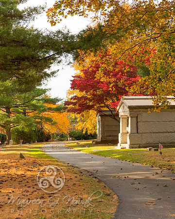 Elmwood Cemetery